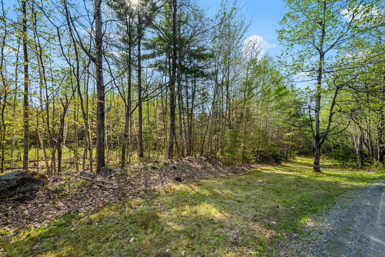 82 Bear Paw Trail - Photo 1