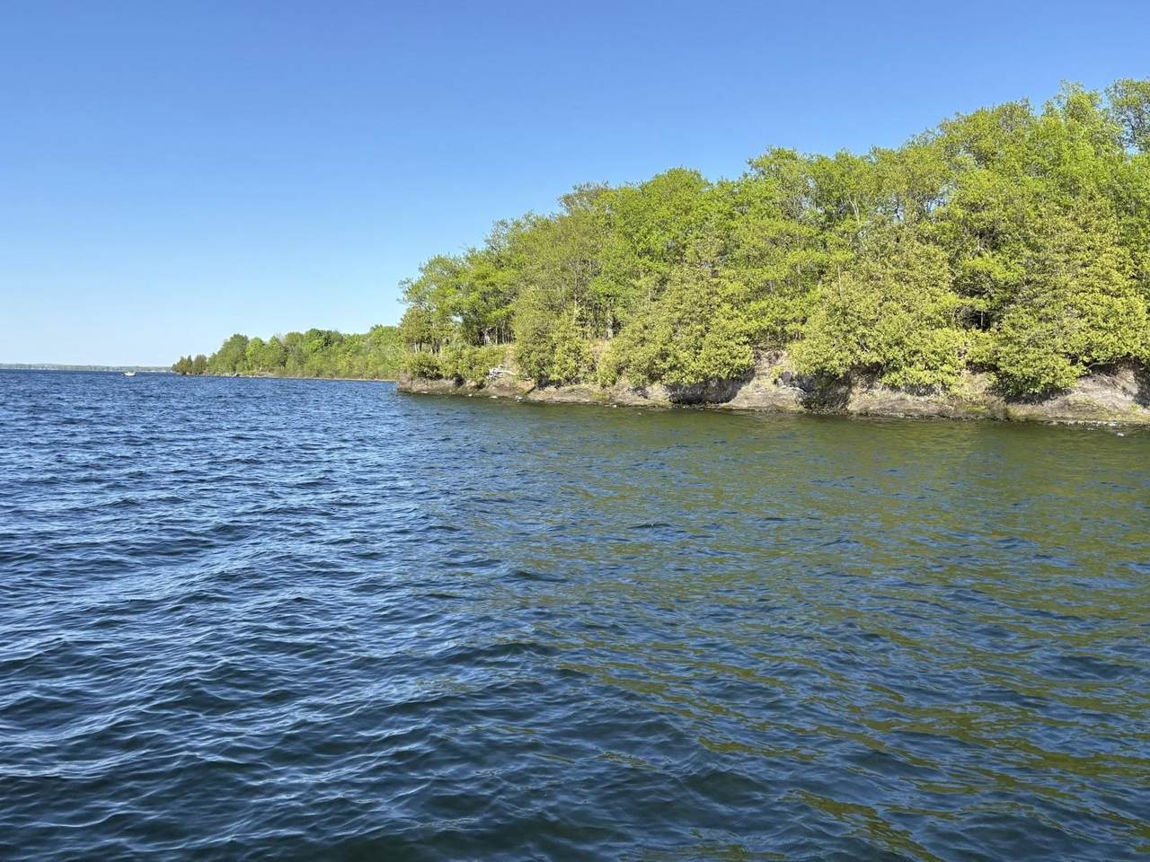3625 Butler Island West - Photo 1