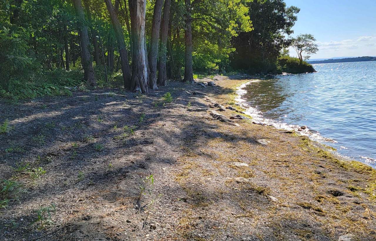 4300 Butler Island West - Photo 1