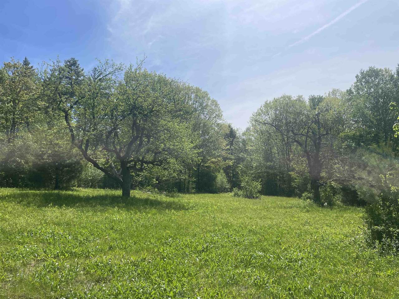 491 Whitneyville Road - Photo 1