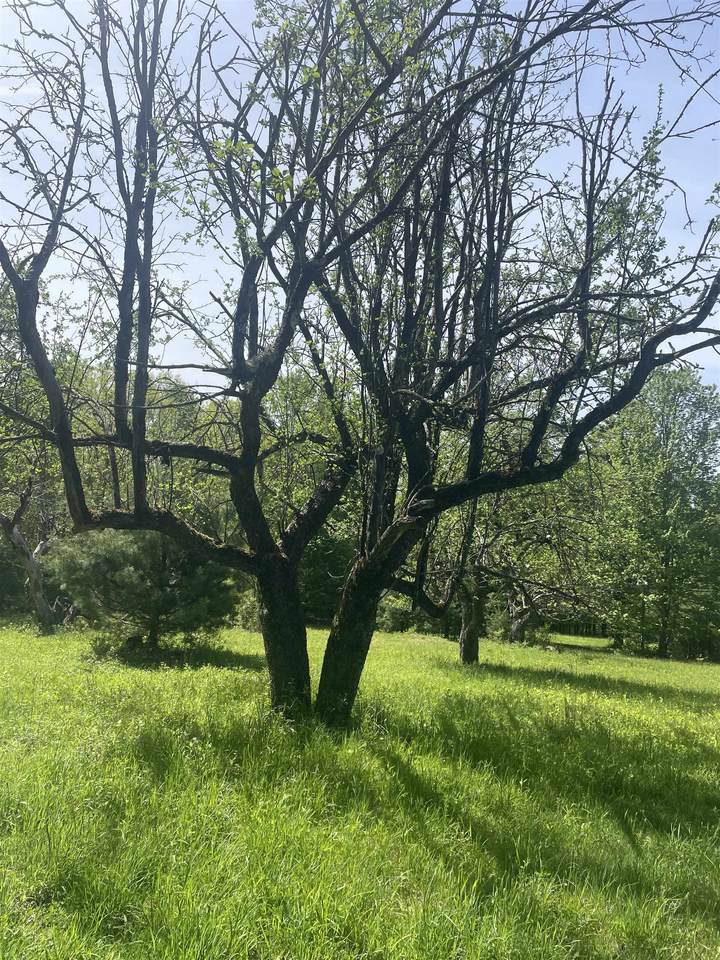 https://bt-photos.global.ssl.fastly.net/nneren/1280_boomver_1_5090490-2.jpg