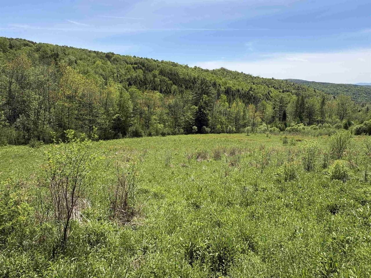 0000 Bear Hill Road - Photo 1