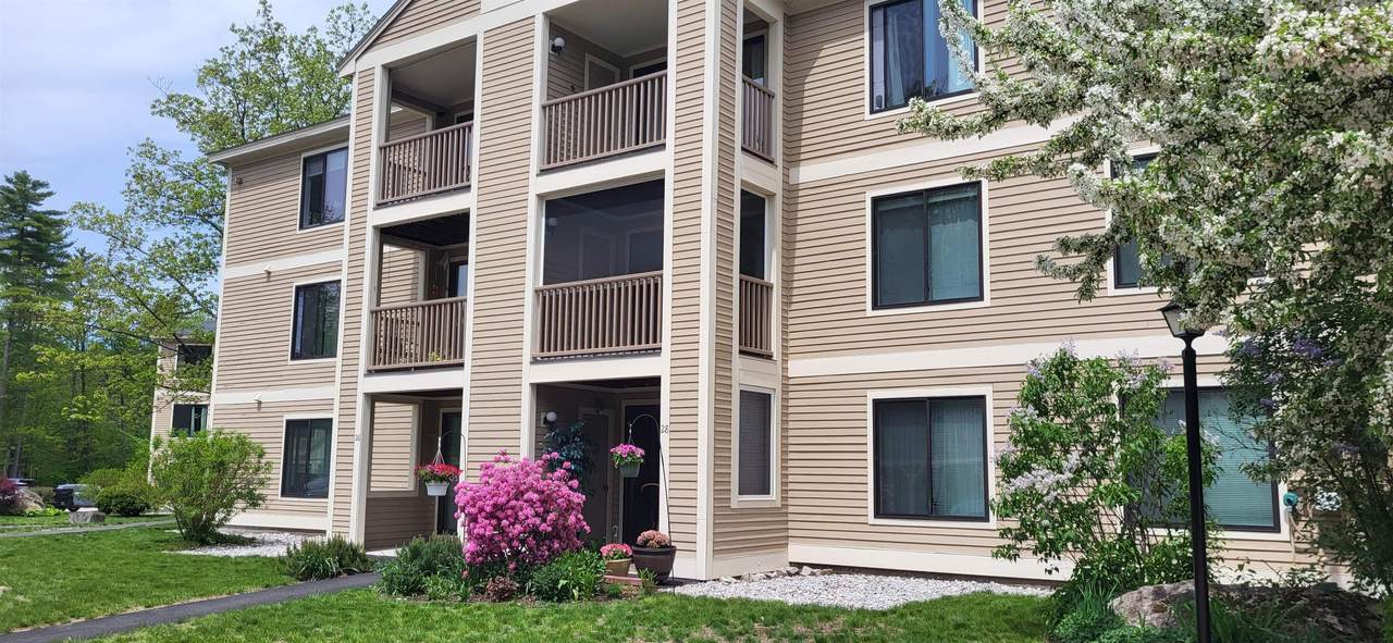 19 Saco Street - Photo 1