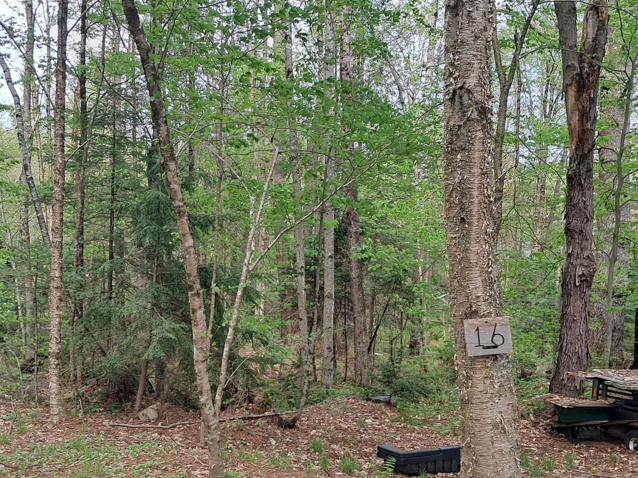 16 Aspen Lane - Photo 1