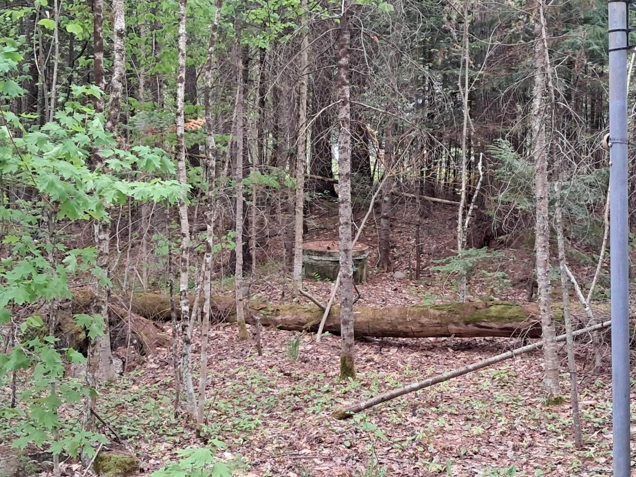 https://bt-photos.global.ssl.fastly.net/nneren/1280_boomver_1_5090612-2.jpg