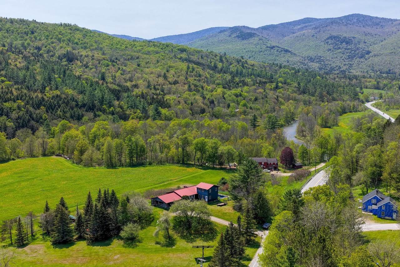 1319 Brandon Mountain Road - Photo 1