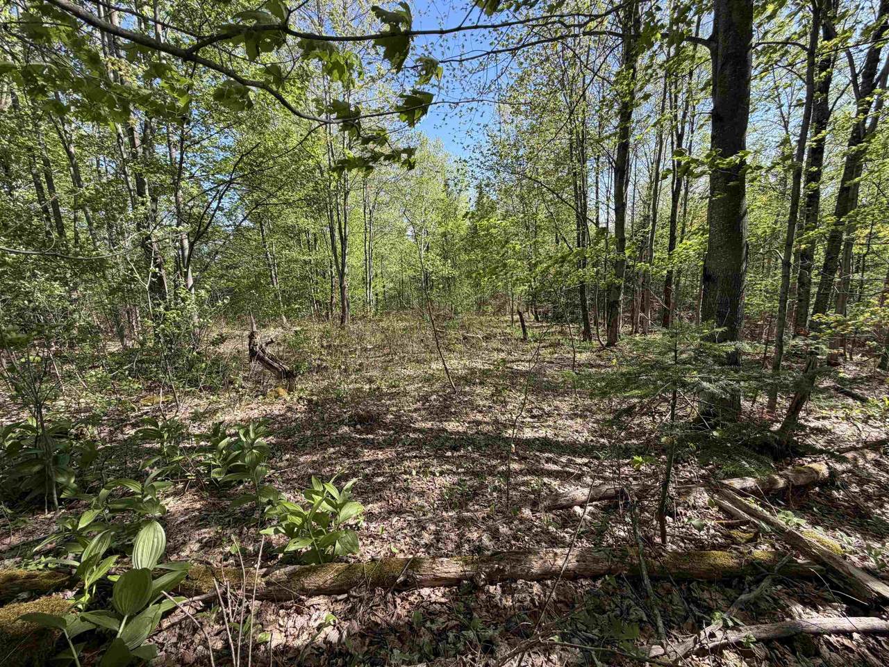 550 Petit Road - Photo 1