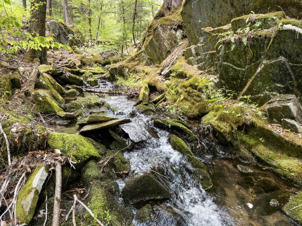 https://bt-photos.global.ssl.fastly.net/nneren/1280_boomver_1_5090867-2.jpg