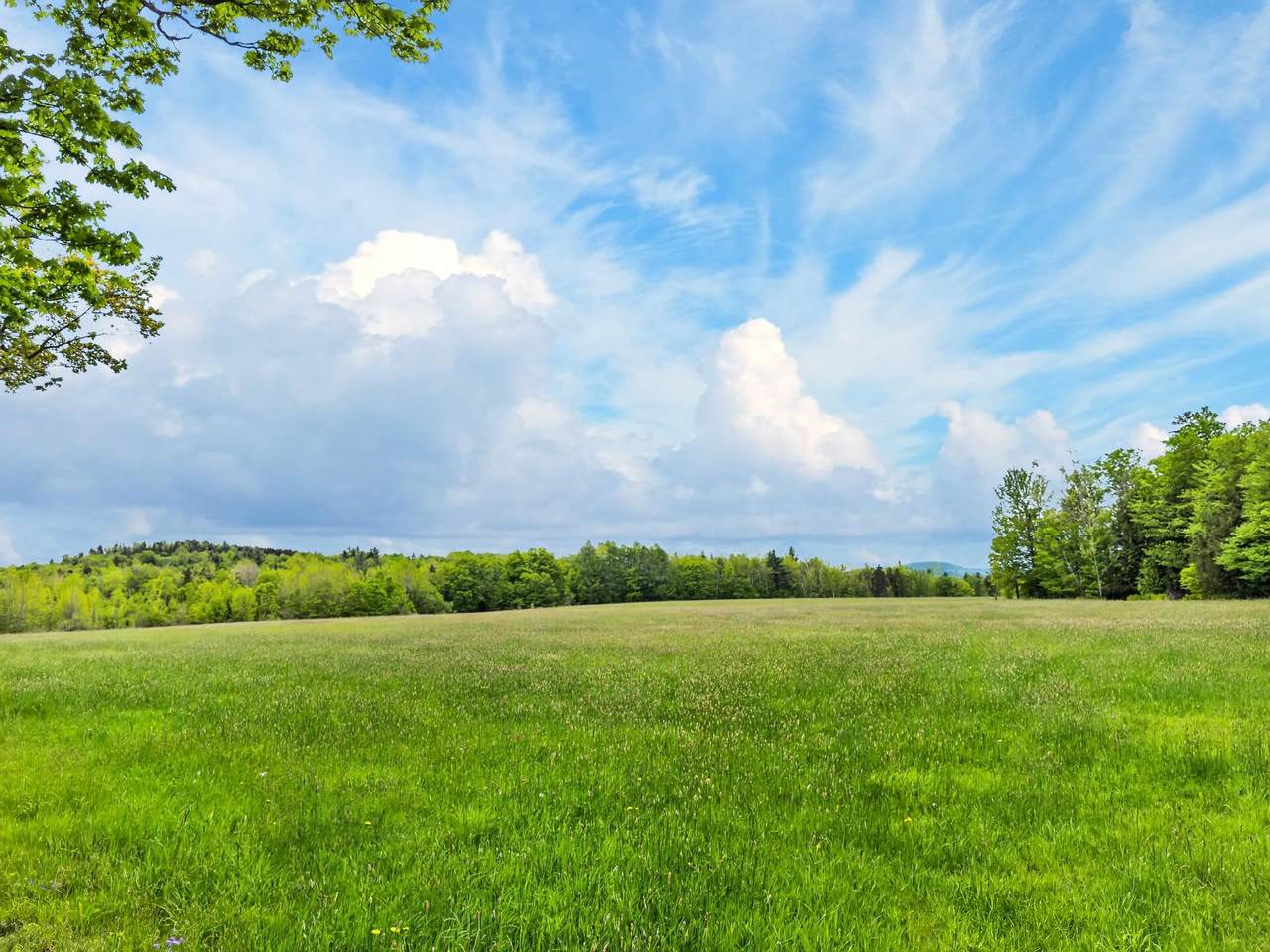Lot 0 Saddada Road - Photo 1