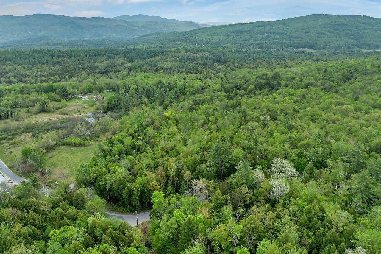  Streeter Woods Road - Photo 1