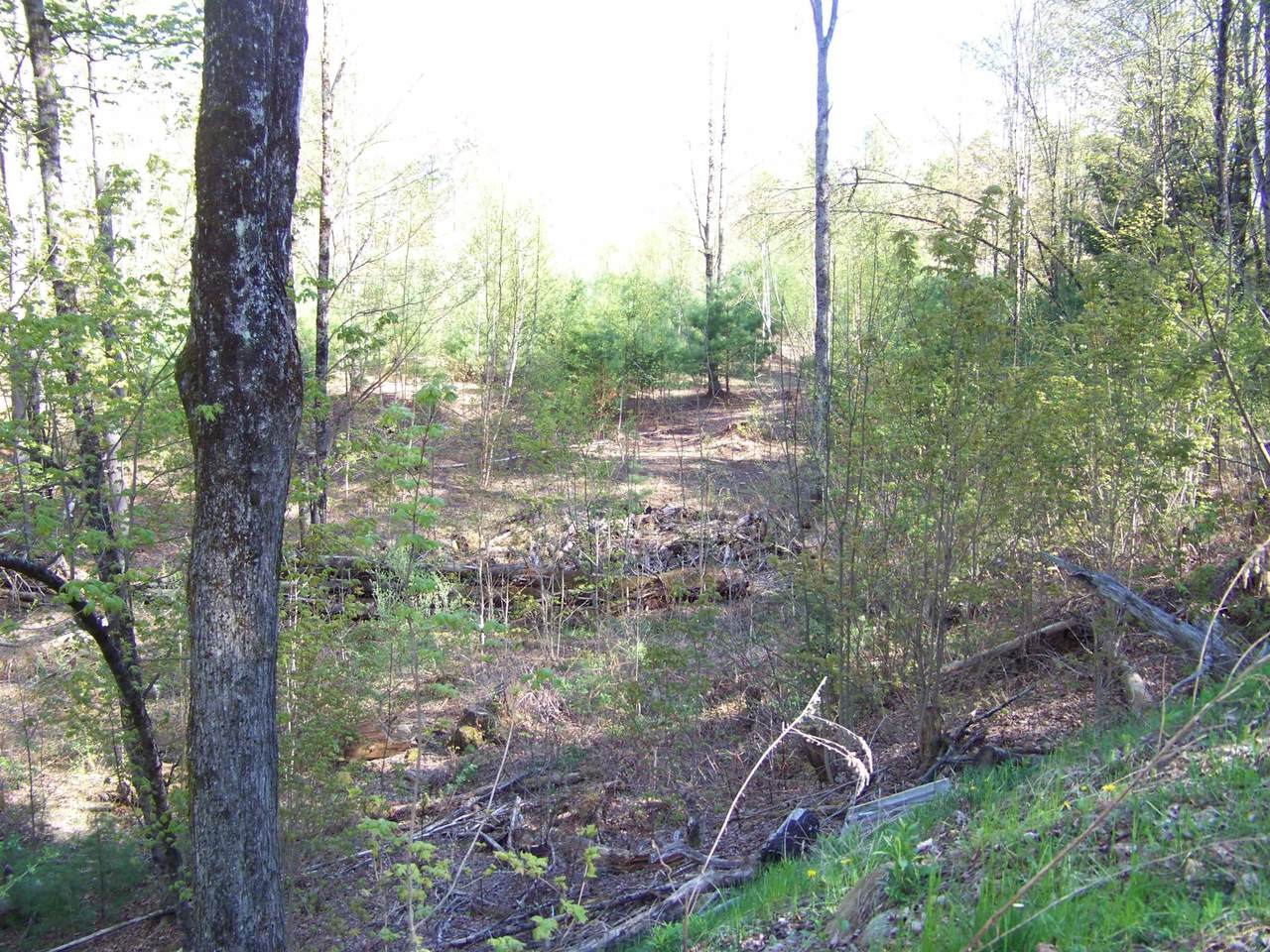 https://bt-photos.global.ssl.fastly.net/nneren/1280_boomver_1_5091228-2.jpg