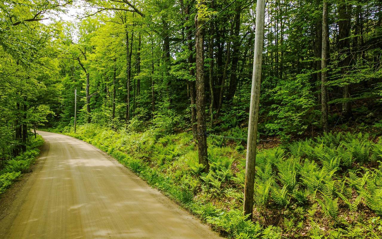 00 Camp Brook Road - Photo 1