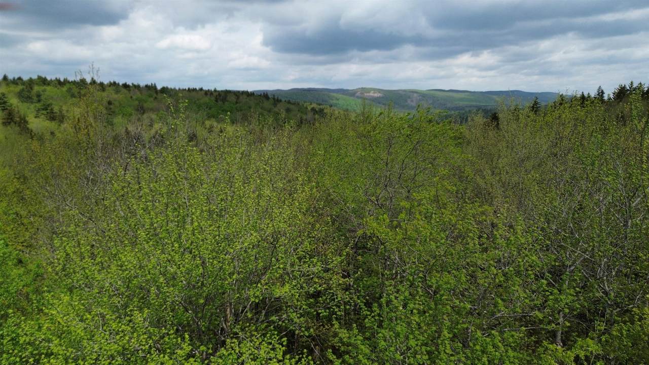 Map 8 Lot 29 Martin Road - Photo 1