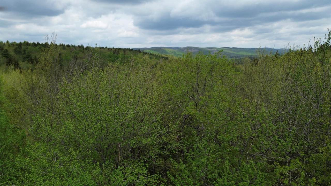 https://bt-photos.global.ssl.fastly.net/nneren/1280_boomver_1_5091563-2.jpg