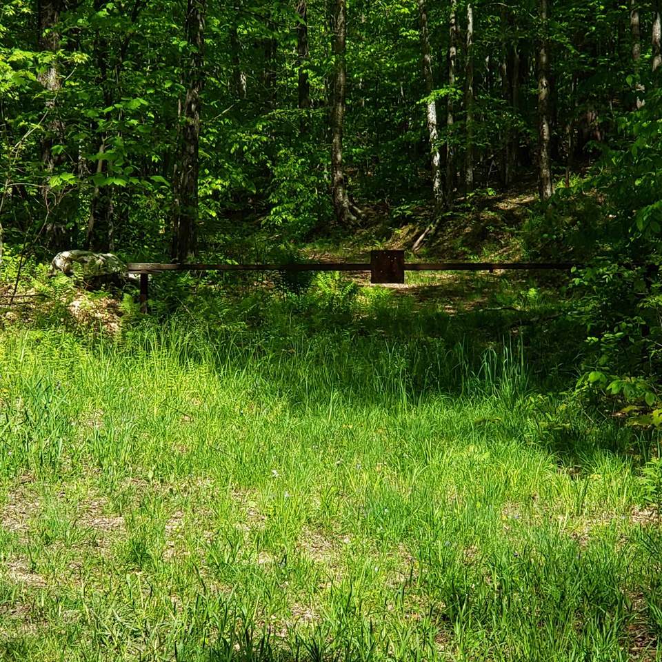 https://bt-photos.global.ssl.fastly.net/nneren/1280_boomver_1_5091664-2.jpg