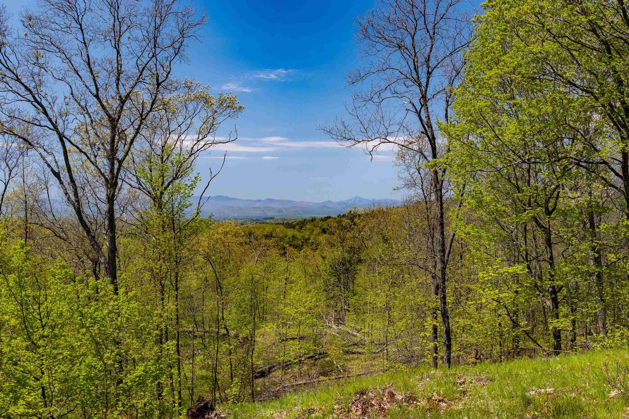189 Shagbark Lane - Photo 1
