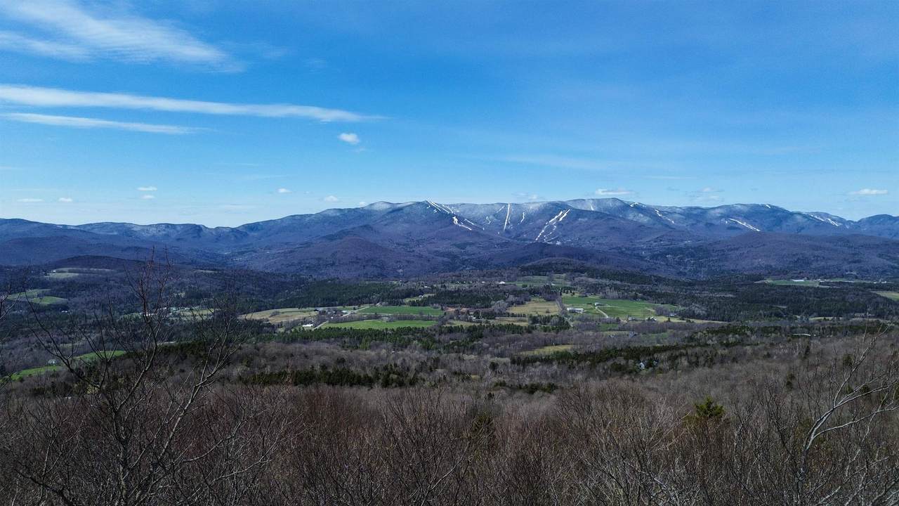 2016 Roxbury Mountain Road - Photo 1