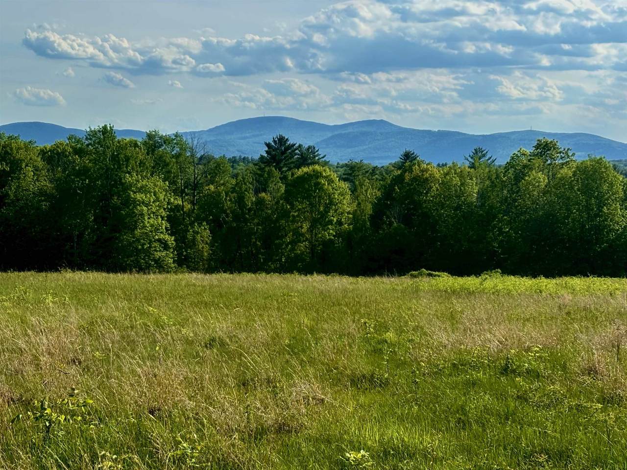 580 C Pine Hill Road - Photo 1