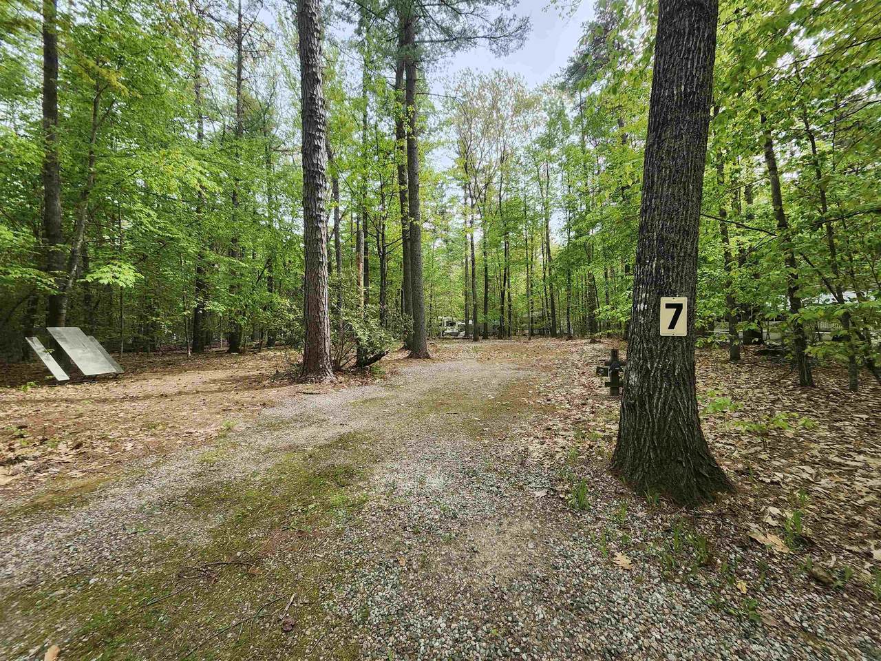 Lot 7 Pine Road - Photo 1