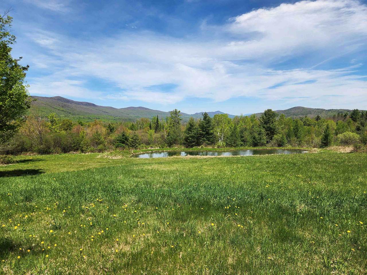 3517 Colvin Hill Road - Photo 1