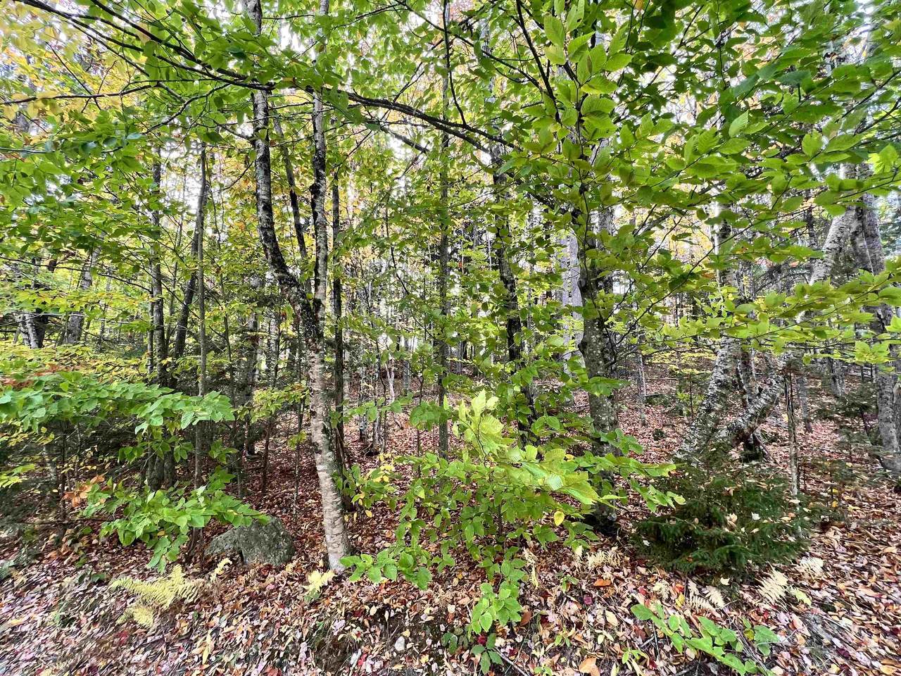 400 Road Round The Lake - Photo 1