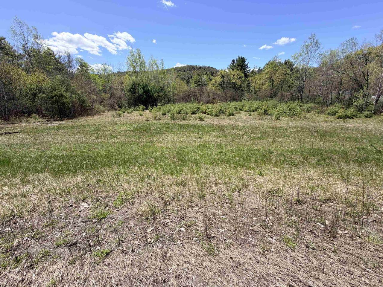 736 John Stark Highway - Photo 1