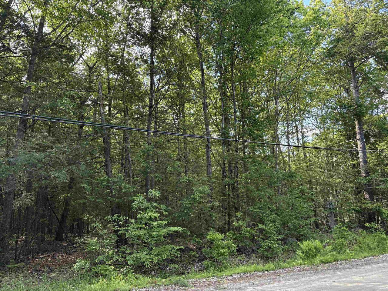 Lot 85 Currier Road - Photo 1