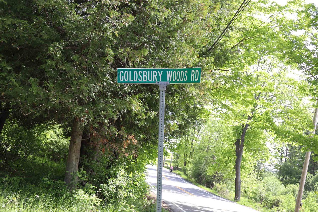 8 Goldsbury Woods Road - Photo 1