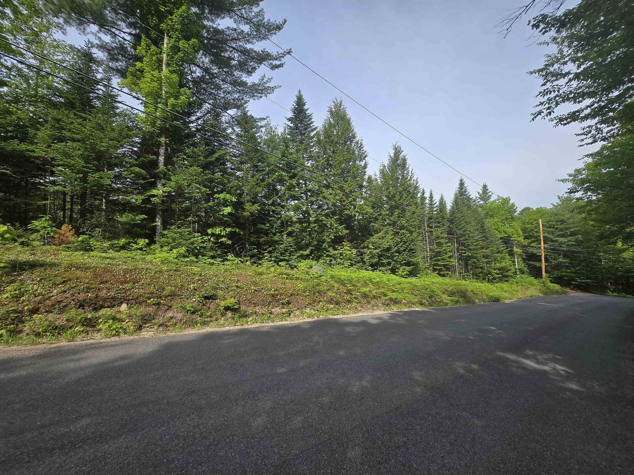0 Thorn Hill Road - Photo 1