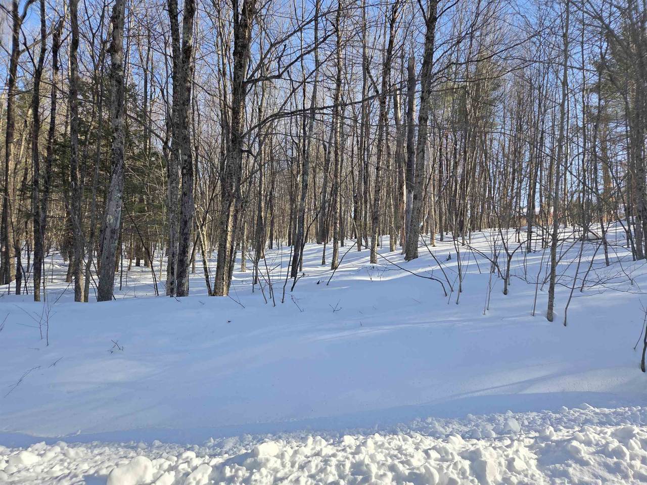 164 Lot 18-2 Mason Road - Photo 1