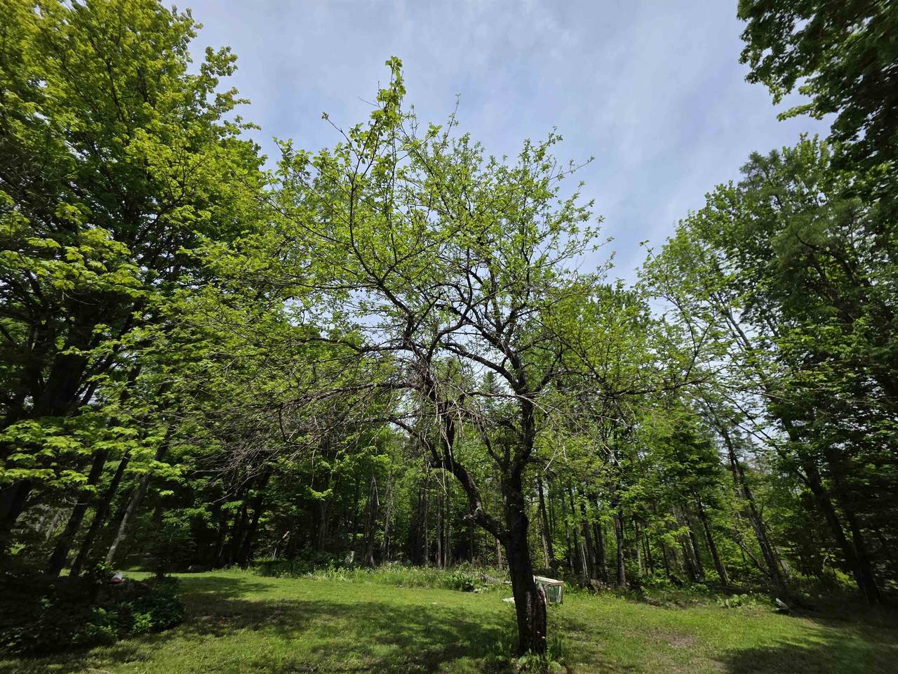 https://bt-photos.global.ssl.fastly.net/nneren/1280_boomver_1_5093132-2.jpg