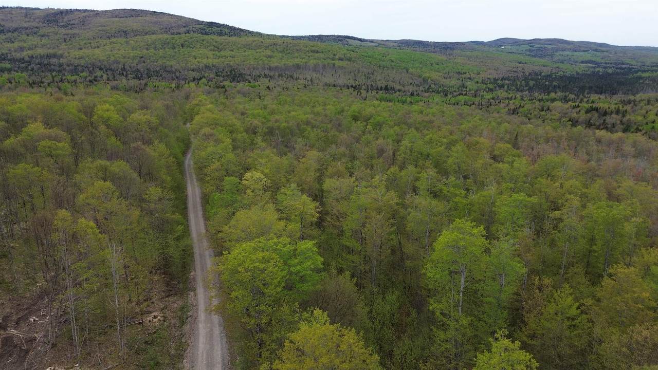 MapB2Lot16 Deadwater Road - Photo 1
