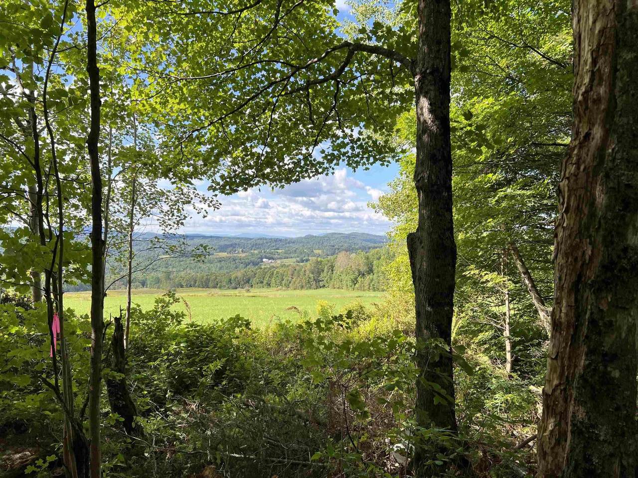 0 Danville Hill Road - Photo 1