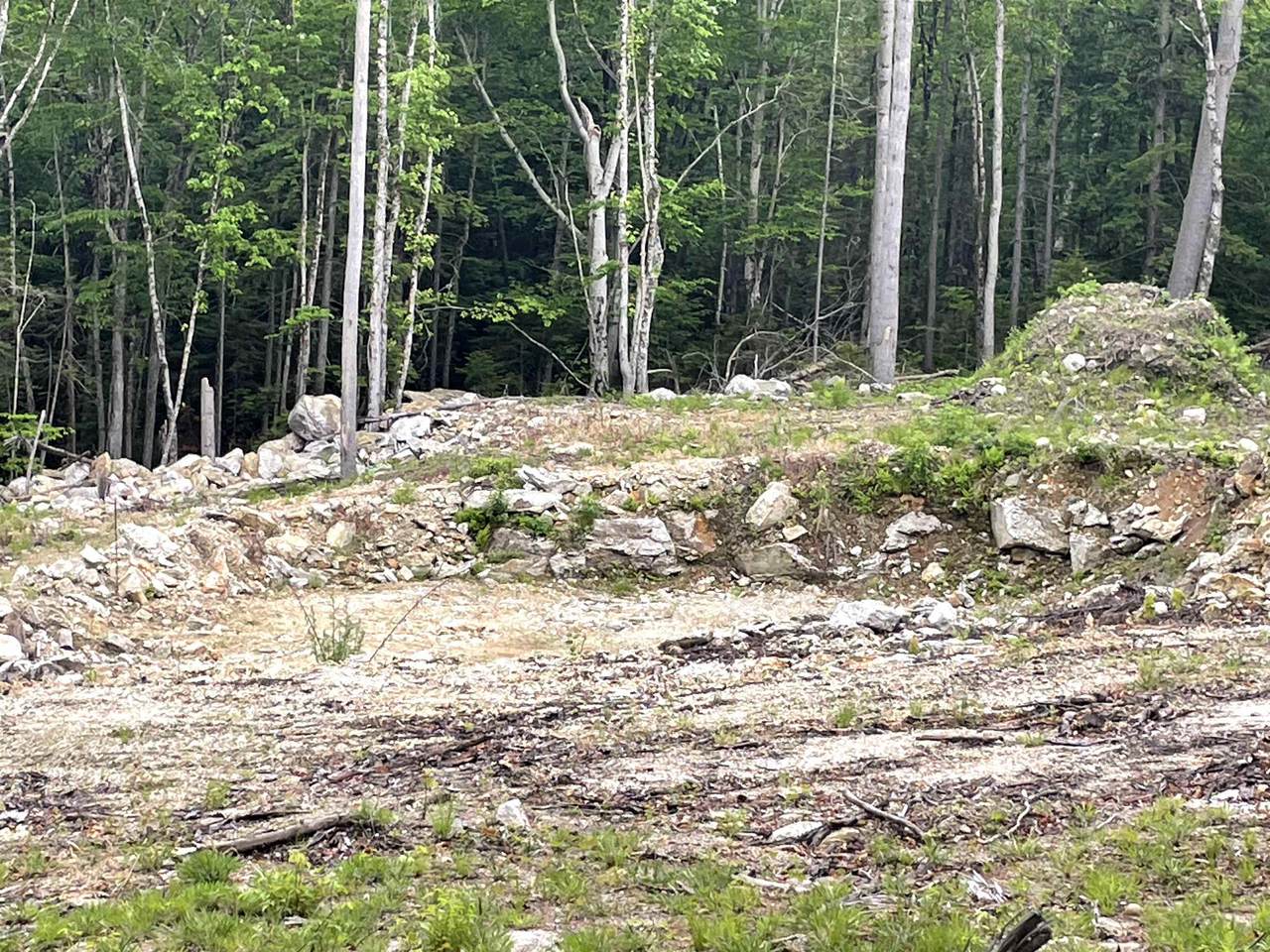 40 Hominy Pot Road - Photo 1