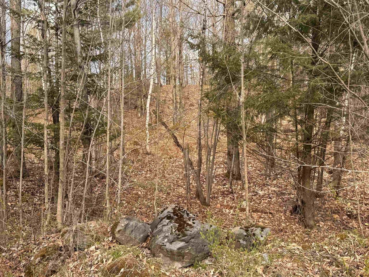https://bt-photos.global.ssl.fastly.net/nneren/1280_boomver_1_5094325-2.jpg
