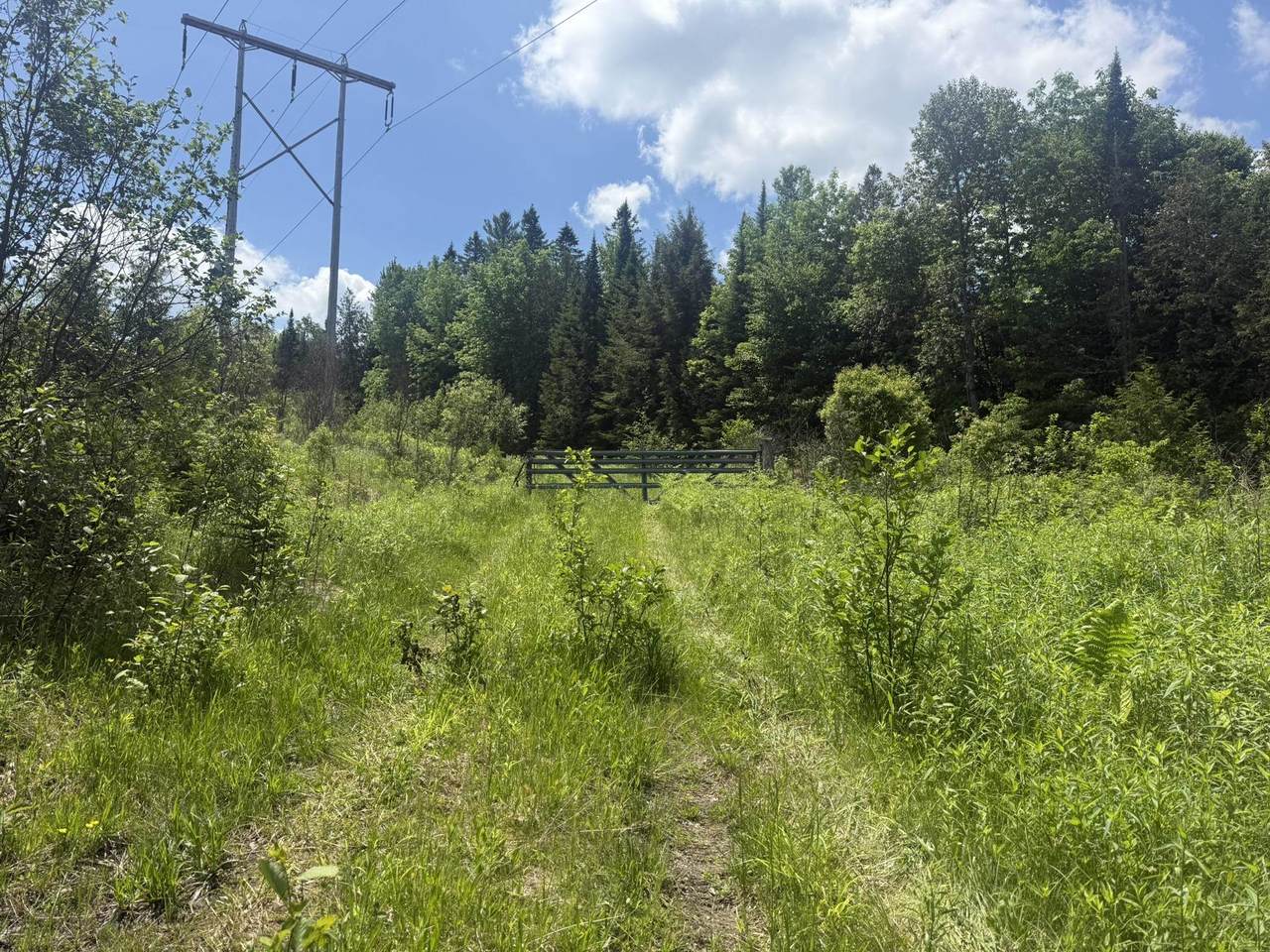 0 Roaring Brook Road - Photo 1