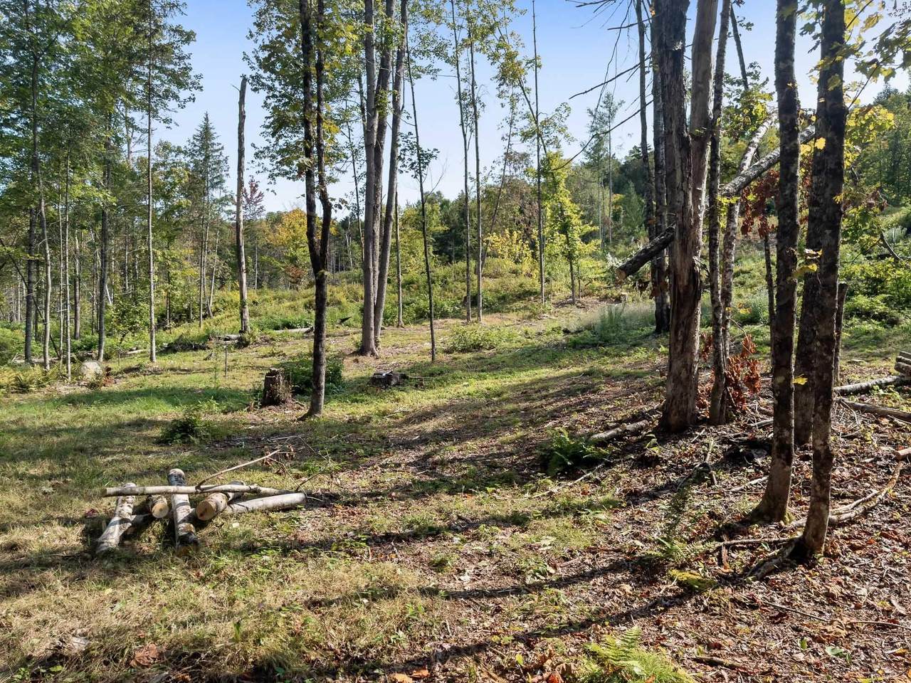 219 Weber Brook Lane - Photo 1