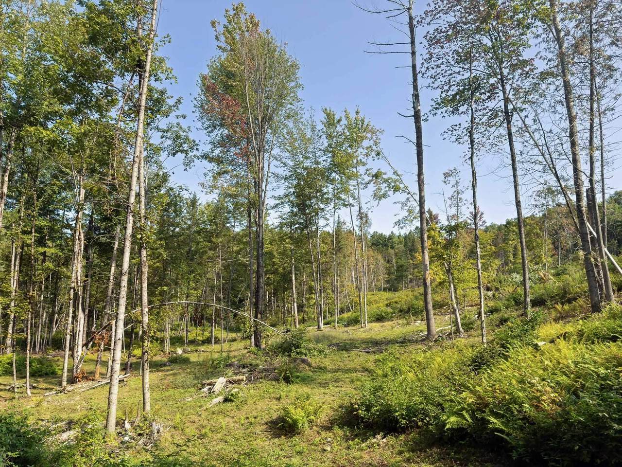 https://bt-photos.global.ssl.fastly.net/nneren/1280_boomver_1_5094583-2.jpg