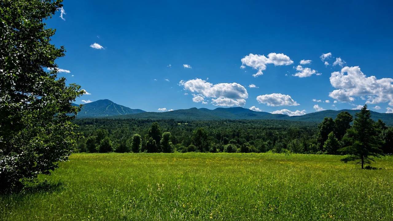 237 Loop Road - Photo 1