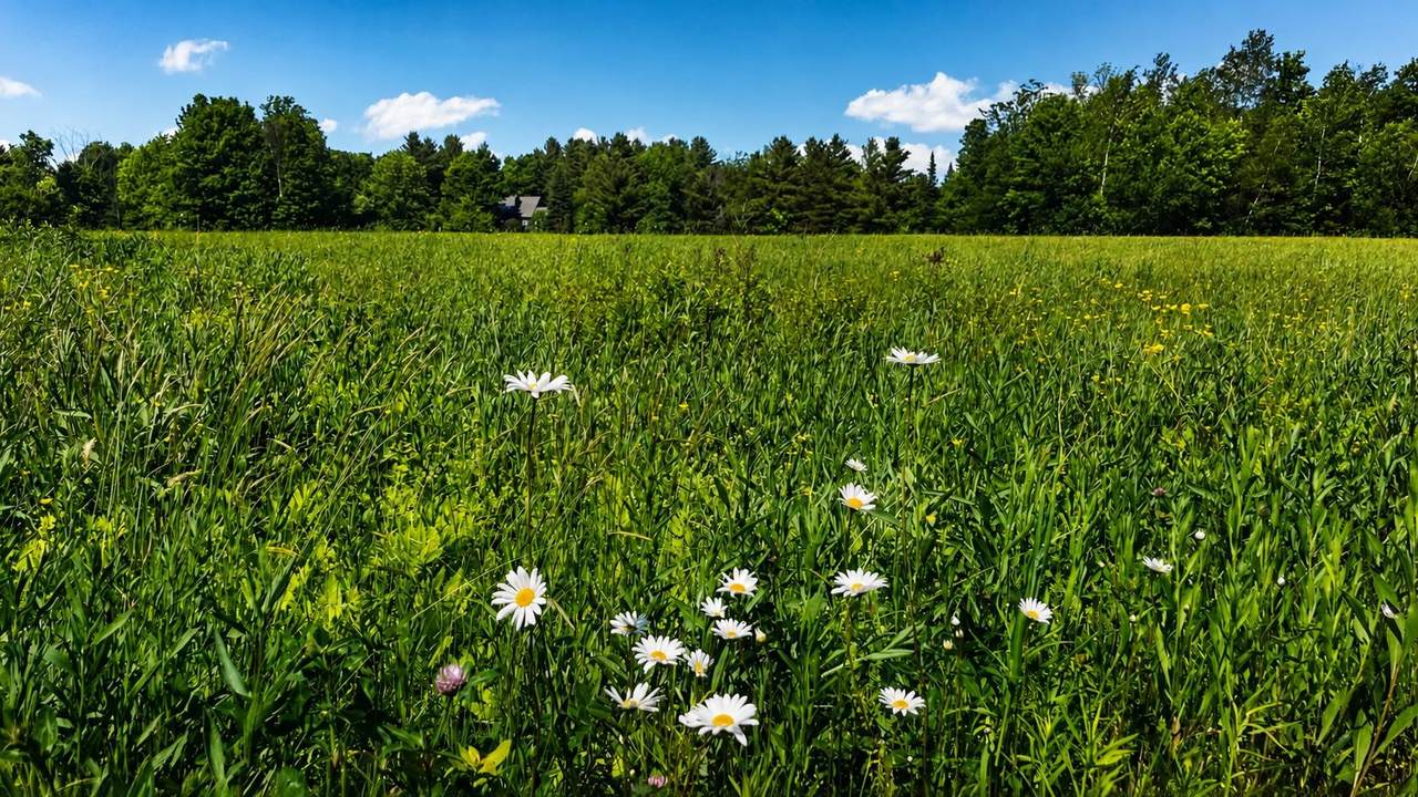 https://bt-photos.global.ssl.fastly.net/nneren/1280_boomver_1_5094632-2.jpg