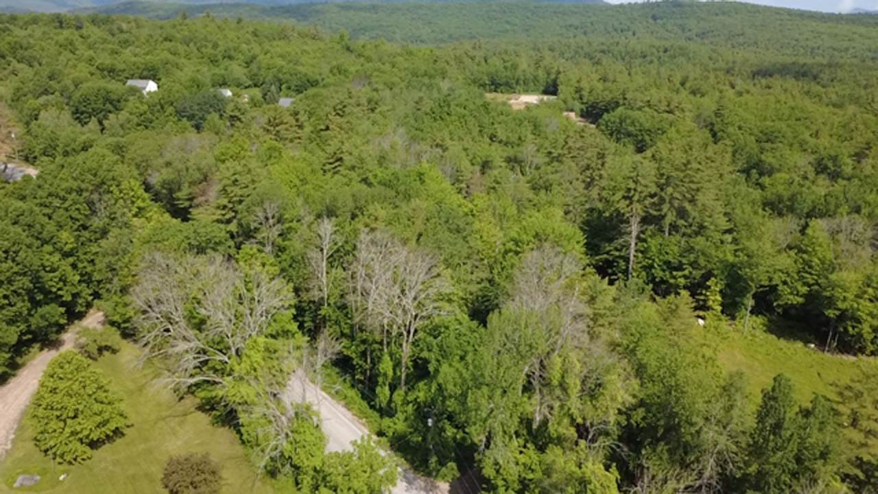5 Brian Road - Photo 1