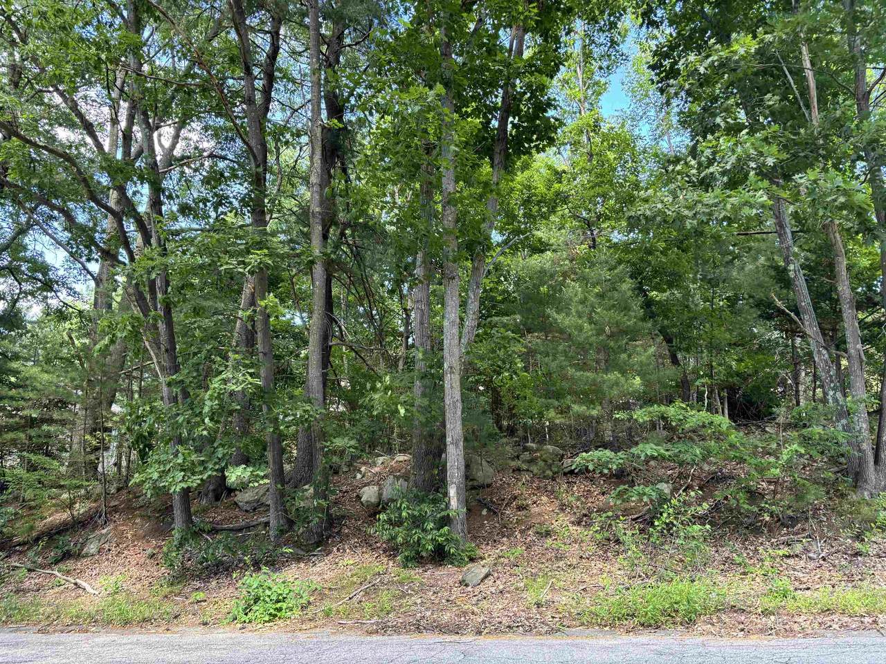 85 Noble Street - Photo 1