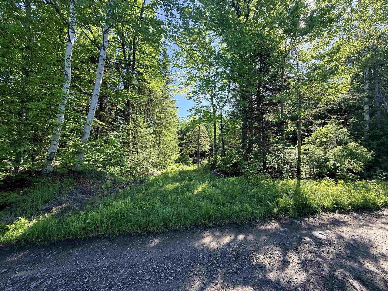 00 Tug Mountain Road - Photo 1
