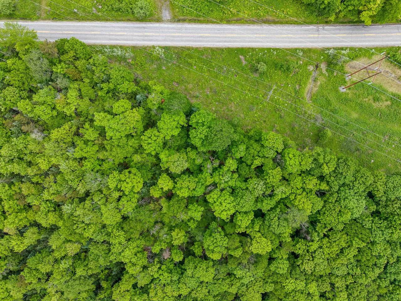  Us Route 302 - Photo 1