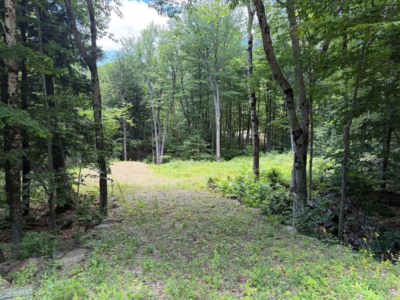 151 Red Coat Lane - Photo 1