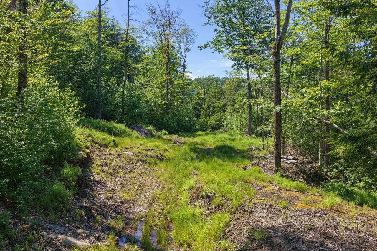 381 Whitaker Farm Road - Photo 1