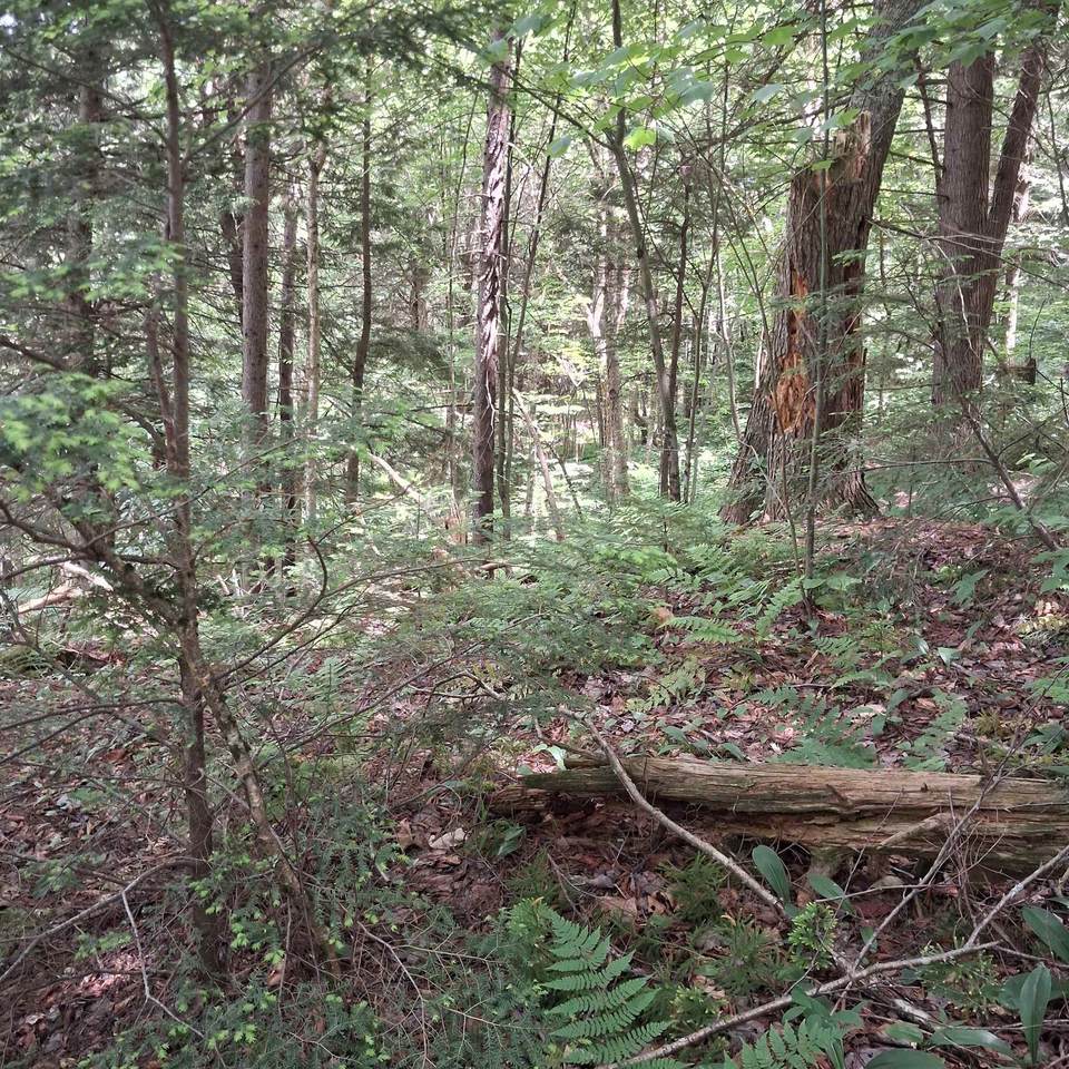 https://bt-photos.global.ssl.fastly.net/nneren/1280_boomver_1_5095493-2.jpg