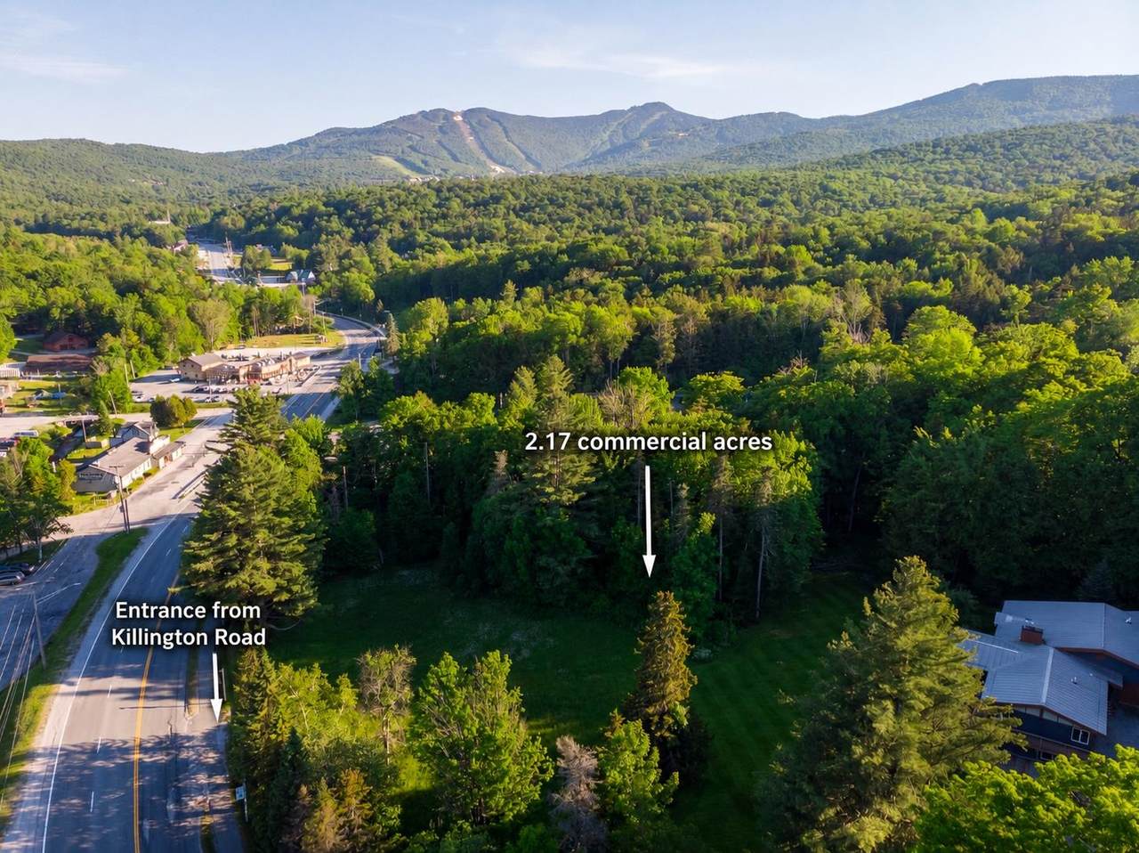 1678 Killington Road - Photo 1