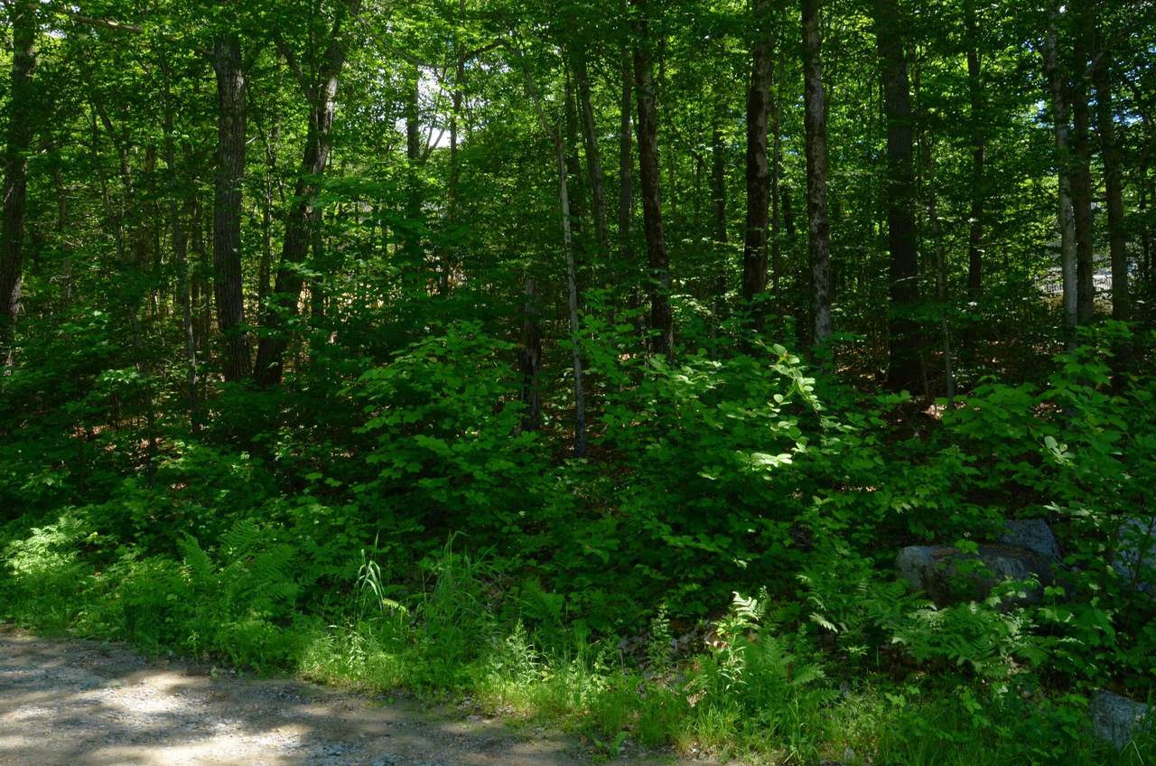  Scott Drive - Photo 1