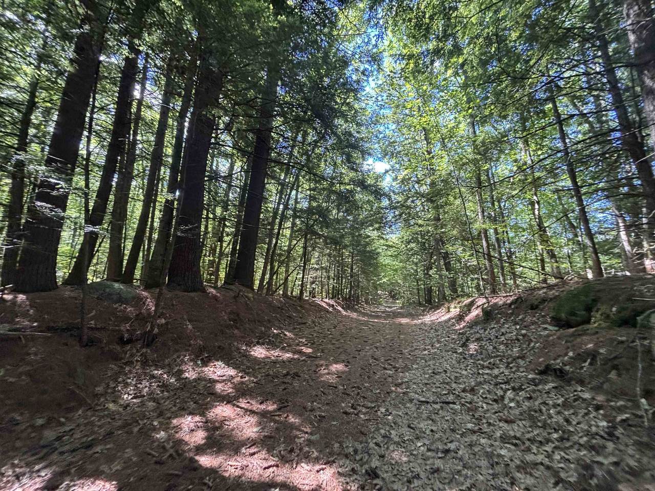 00 Windfall Road - Photo 1